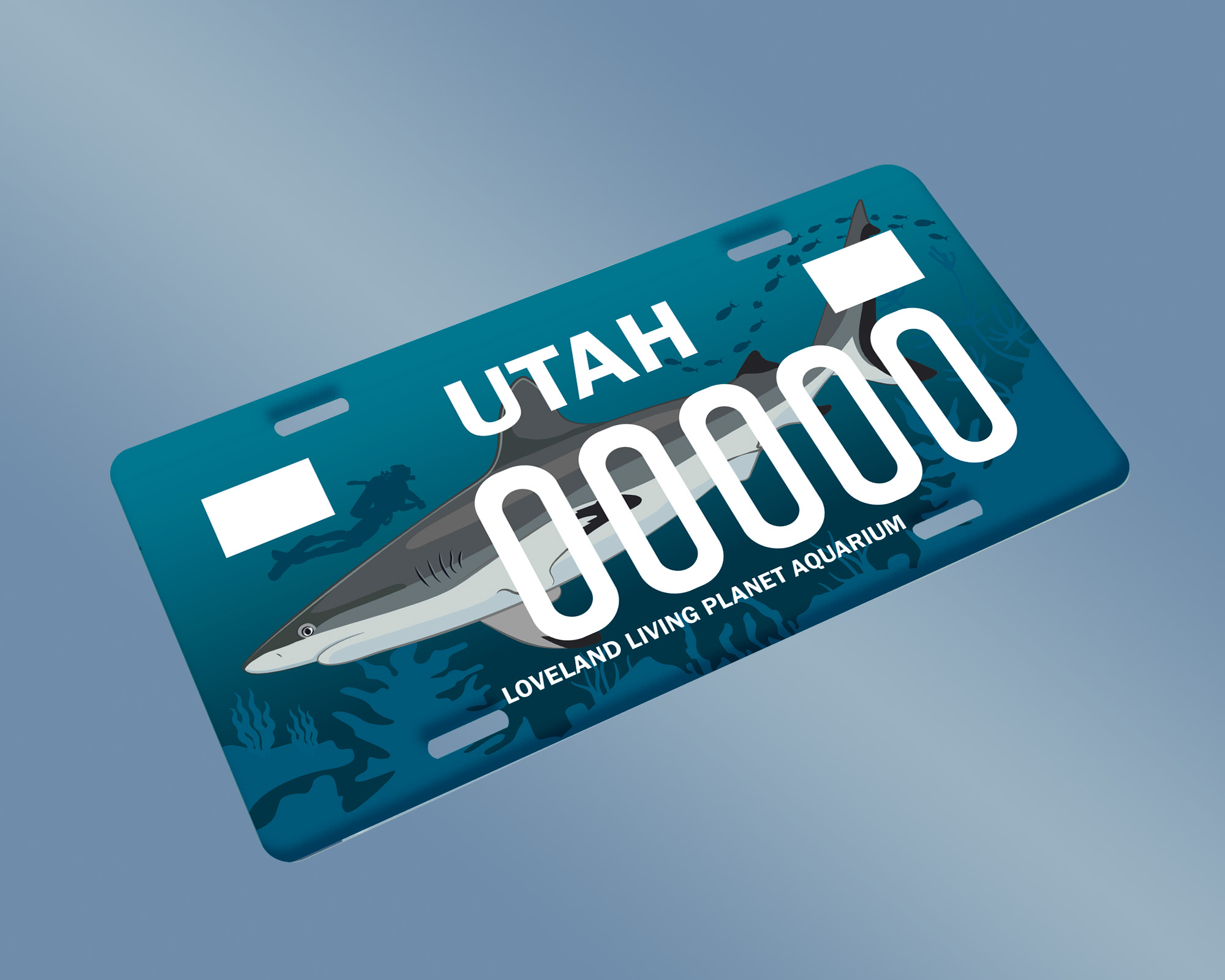 Shark License Plate Flat